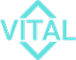 Vital Health Ring
